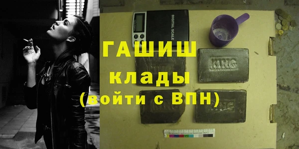 стаф Туринск