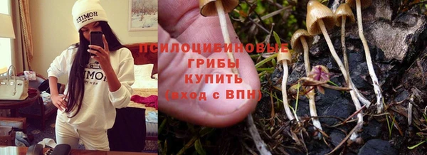 метадон Гусиноозёрск