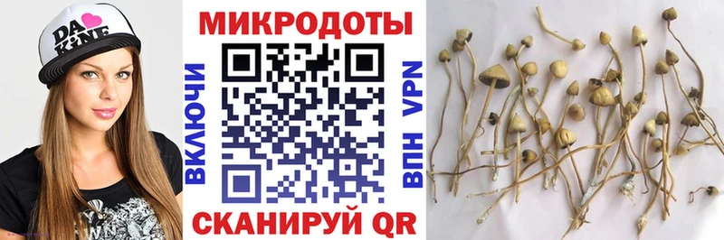 Псилоцибиновые грибы Psilocybe  Купить  Багратионовск 